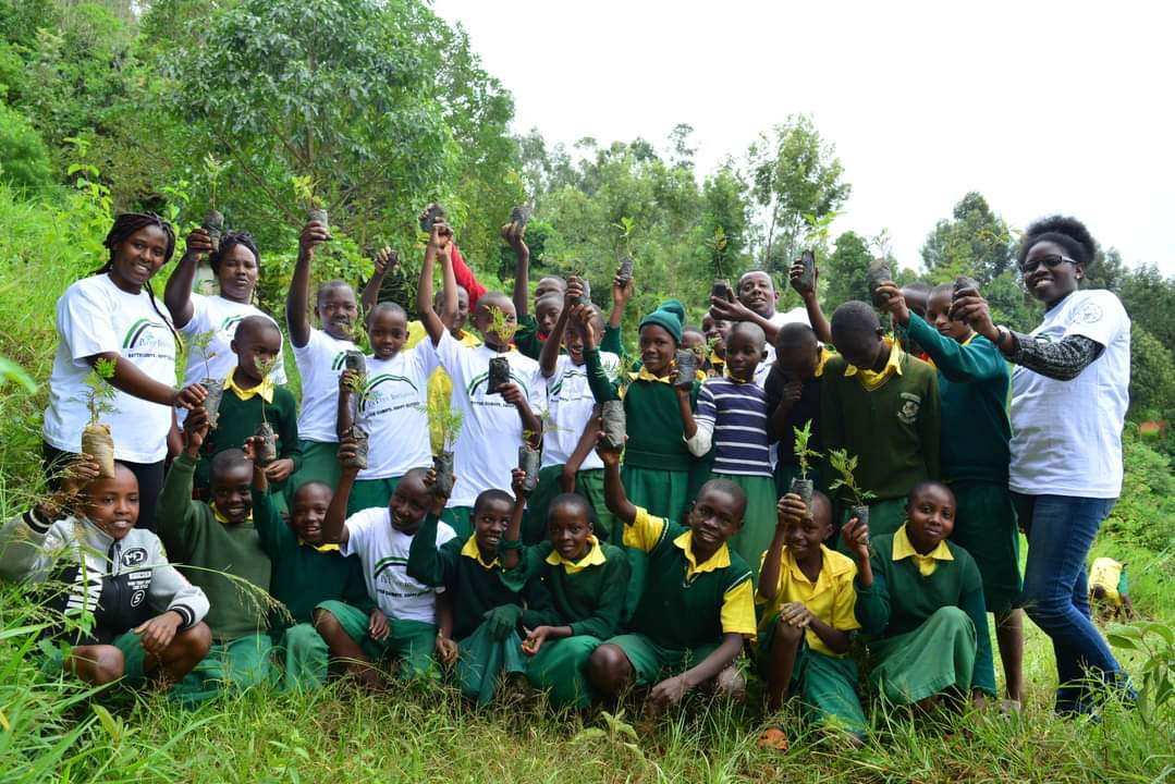 PaTree Initiative tweet media