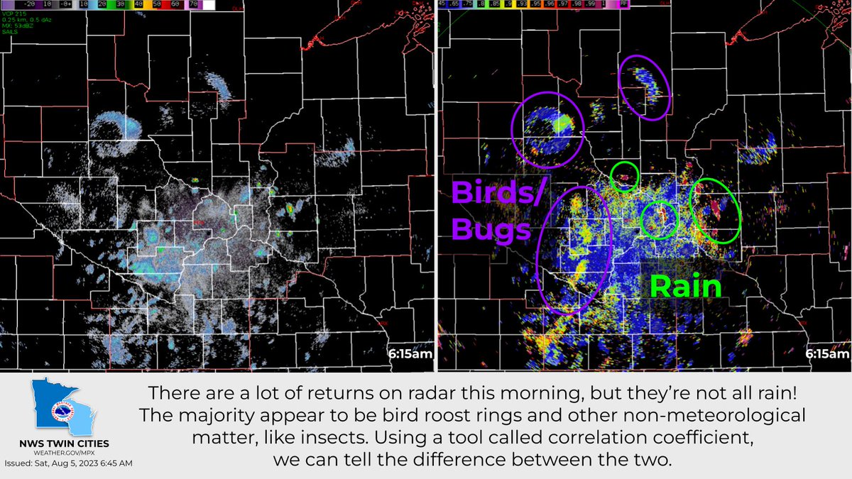 We're playing a game here at the weather bureau this morning we like to call 'is it rain 🌧️or is it birds🐦?' While we have plenty of returns showing up on radar, not all of them are meteorological. We use a tool called correlation coefficient to tell the difference. #mnwx #wiwx