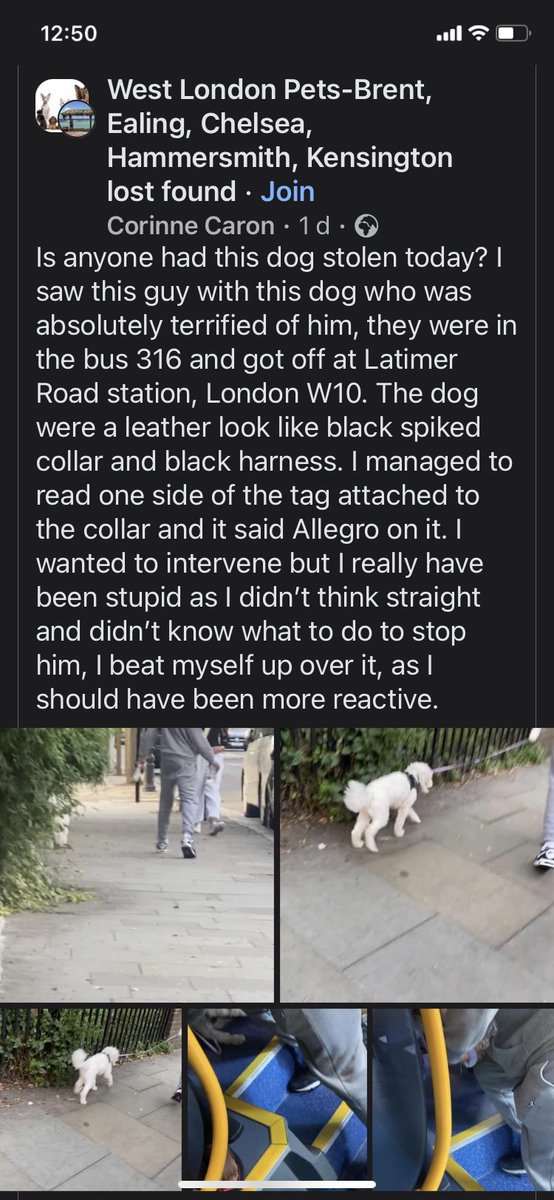 SHARING <a href="/DogLostUK/">DogLost</a> <a href="/MissingPetsGB/">Missing Pets GB</a> <a href="/dotslondon/">Dogs On The Streets</a> <a href="/RSPCA_official/">RSPCA (England & Wales)</a> <a href="/CityWestminster/">Westminster City Council</a>