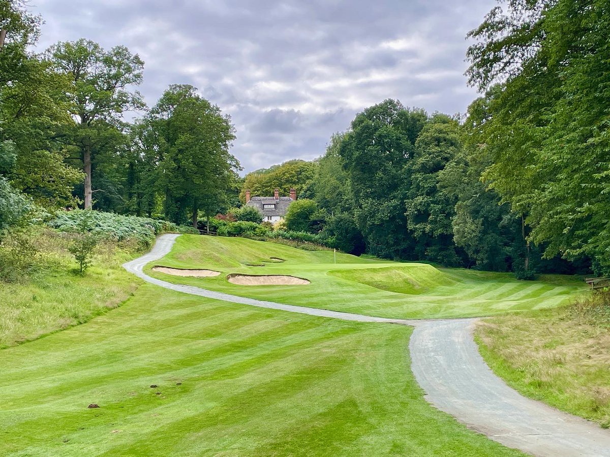 Joel Tadman tweet media