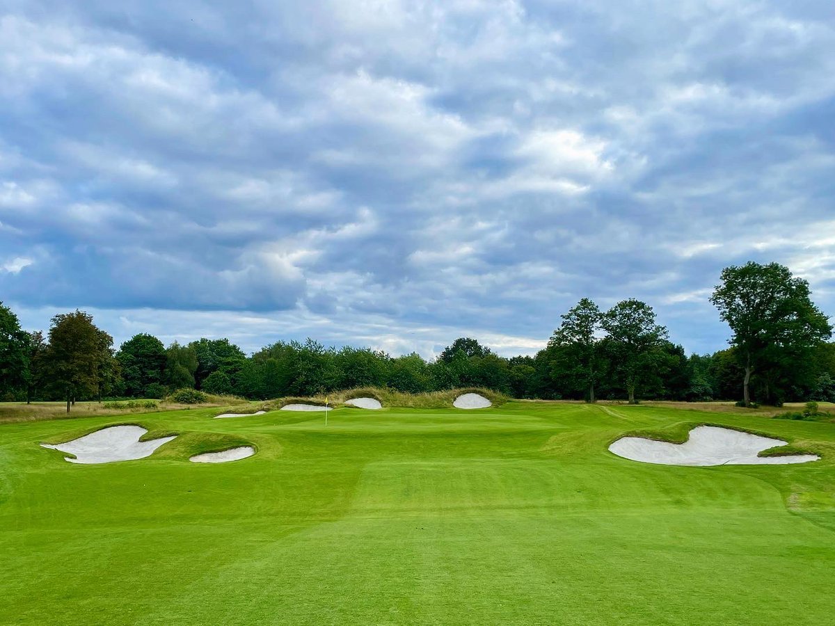 Joel Tadman tweet media