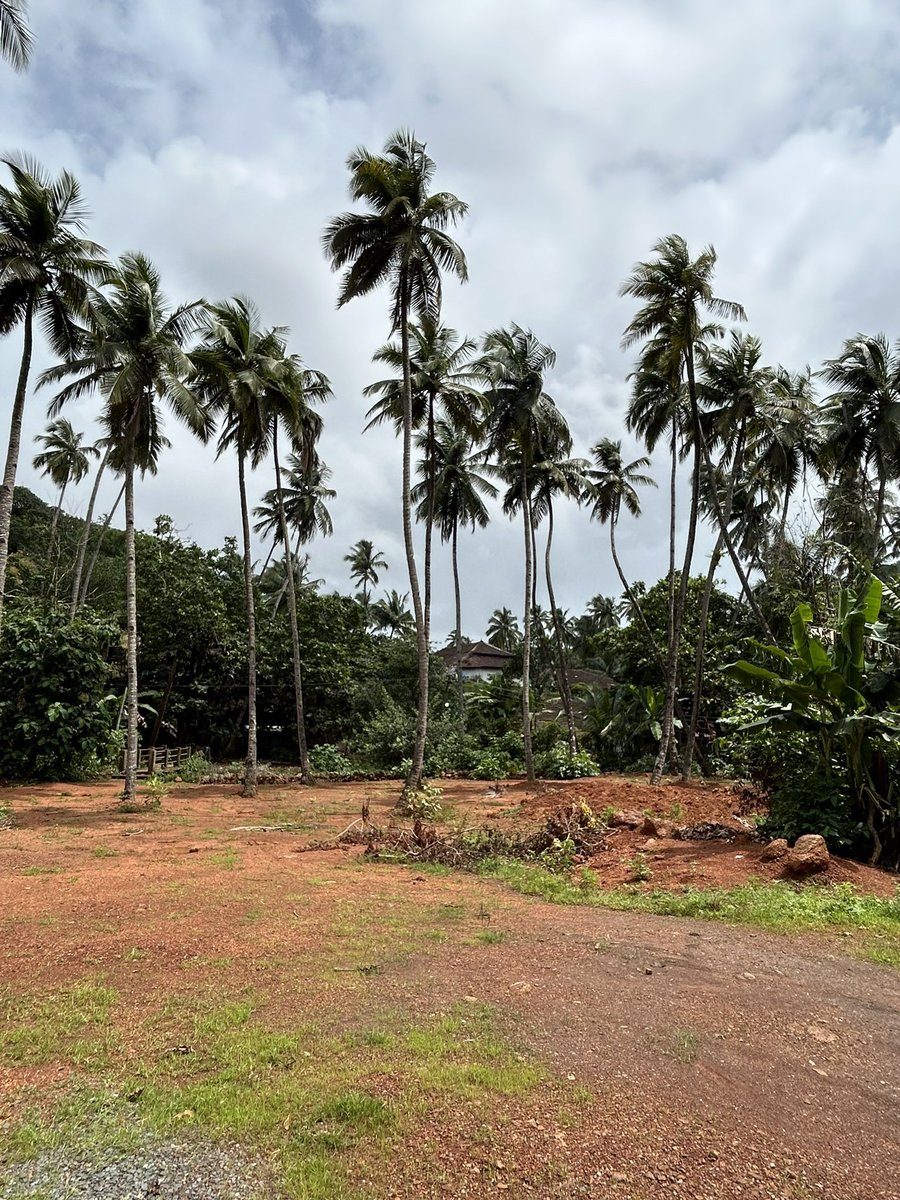 PantryCar's tweet image. On the way to Cabo de Rama! 😍

#Goa #SouthGoa