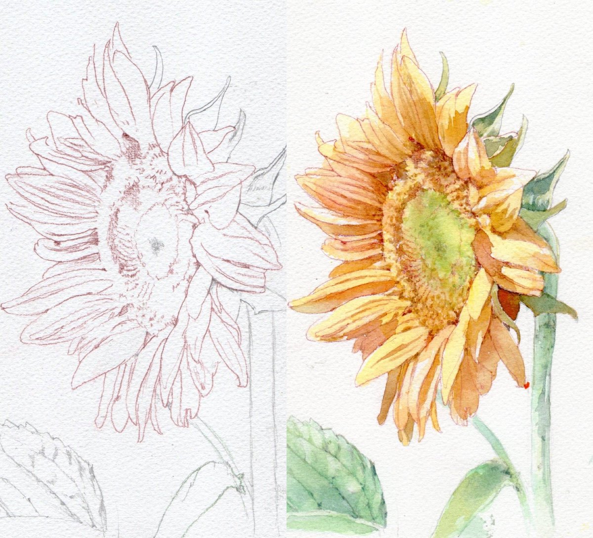 Akiサイン　「ファッション」　鉛筆デッサンに水彩画　　真作 Akiサイン 「ファッション」 鉛筆デッサンに水彩画 真作