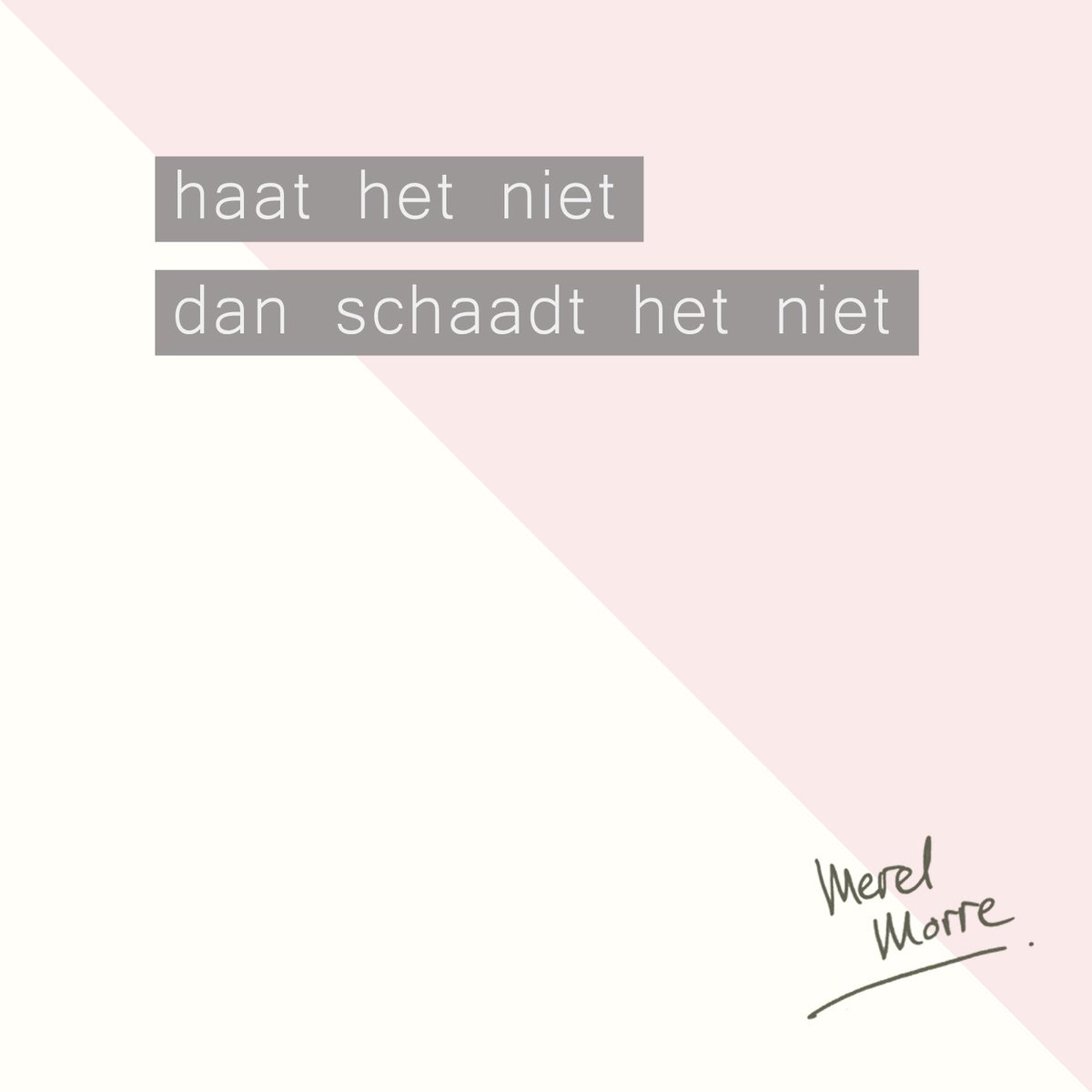 Merel Morre (@merelmorre) on Twitter photo 