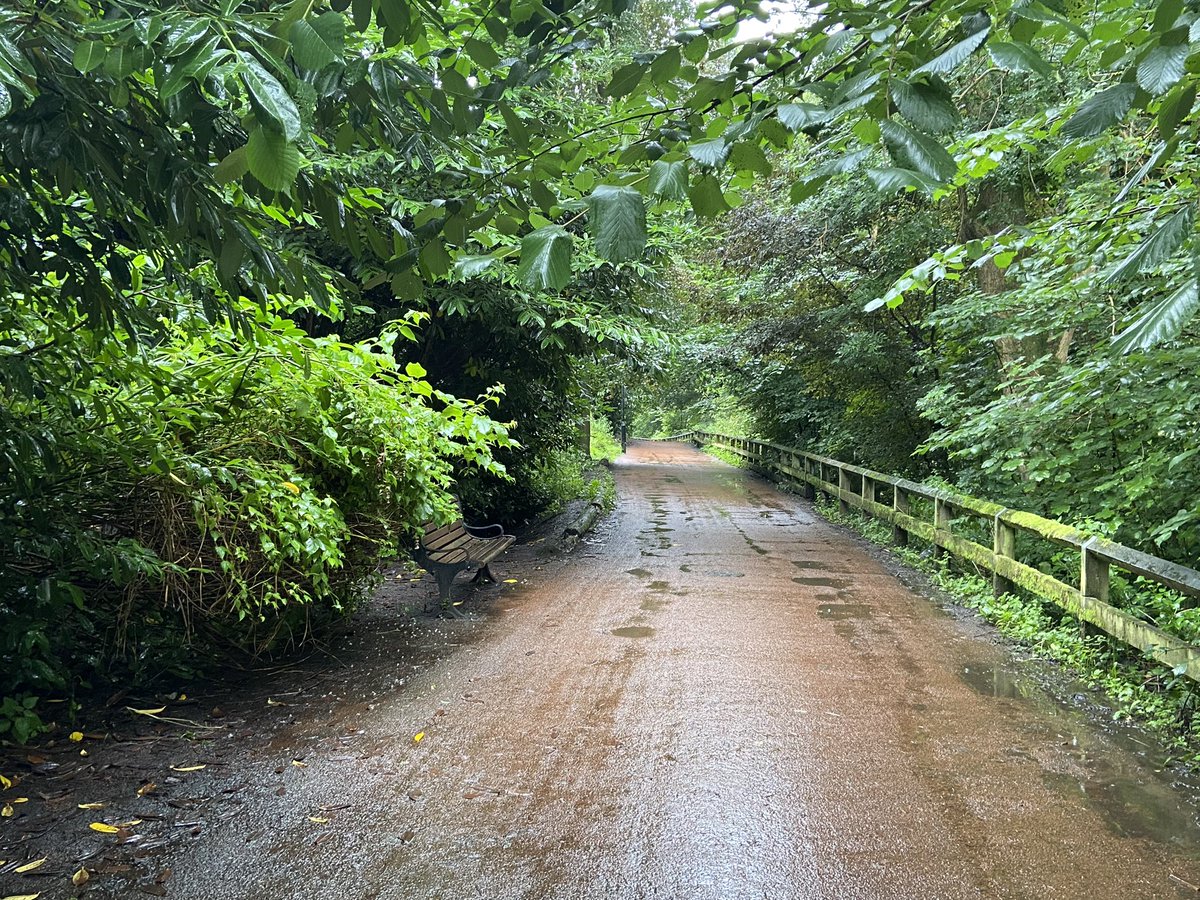 Feargal_Sharkey's tweet photo. Went for a walk along the very beautiful Jesmond Dean in Newcastle this morning. Glorious little river, waterfall, old mill, delightful, found myself wondering if there was any trout in there. 

Then it rained, then it stank, and yes it stank, sewage, you can’t escape it 😡 https://t.co/TkvxLxW64S