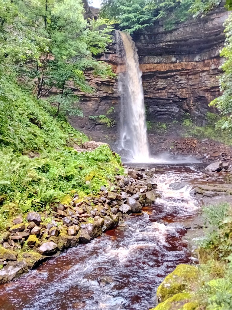 SanjeePerera1's tweet photo. #HardrawForce waterfall, with a 100-foot drop, is home to the oldest record of amphibian tracks in the UK dating back 340 million yrs.  The rocks of the gorge also include marine beds where some lovely productid brachiopods can be spotted! #FossilFriday #SabbaticalLife https://t.co/Roq9QHeRcd