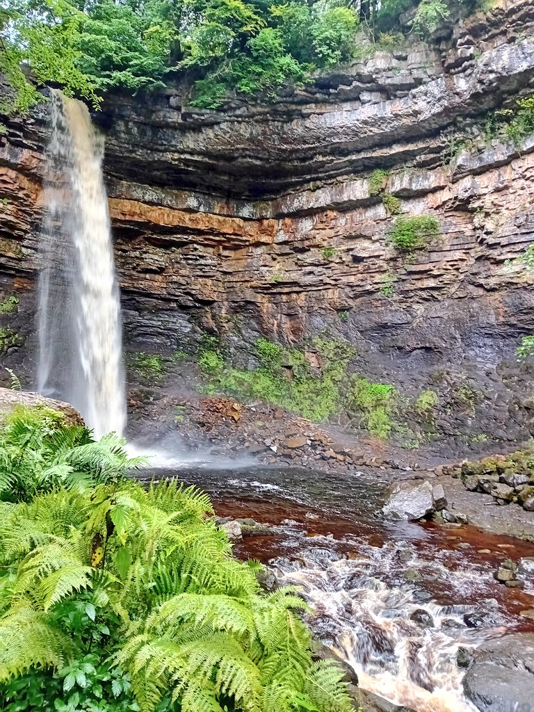 SanjeePerera1's tweet photo. #HardrawForce waterfall, with a 100-foot drop, is home to the oldest record of amphibian tracks in the UK dating back 340 million yrs.  The rocks of the gorge also include marine beds where some lovely productid brachiopods can be spotted! #FossilFriday #SabbaticalLife https://t.co/Roq9QHeRcd