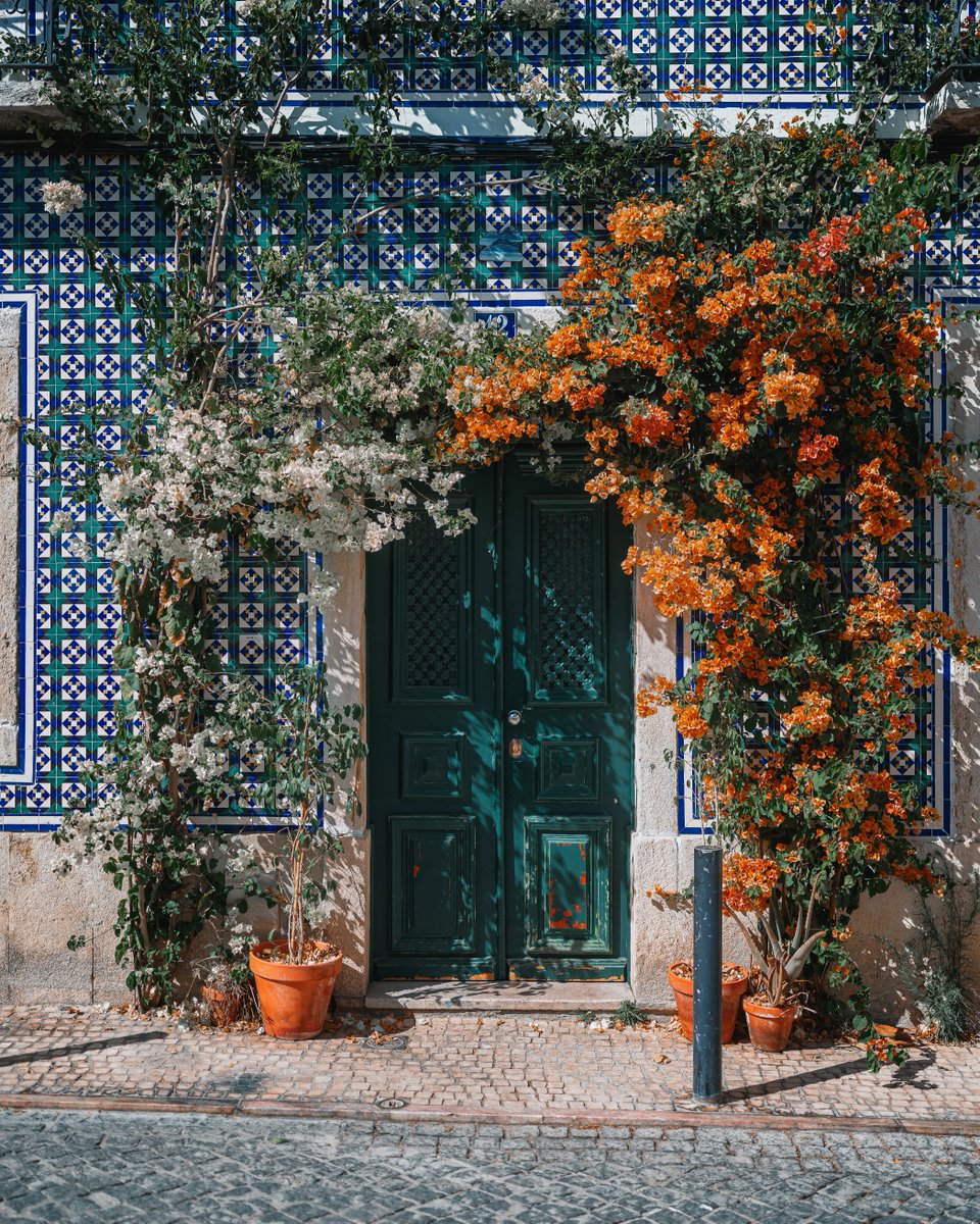 michaelboegl's tweet photo. A week in Lisbon ✨ https://t.co/gvUBn6LOBt