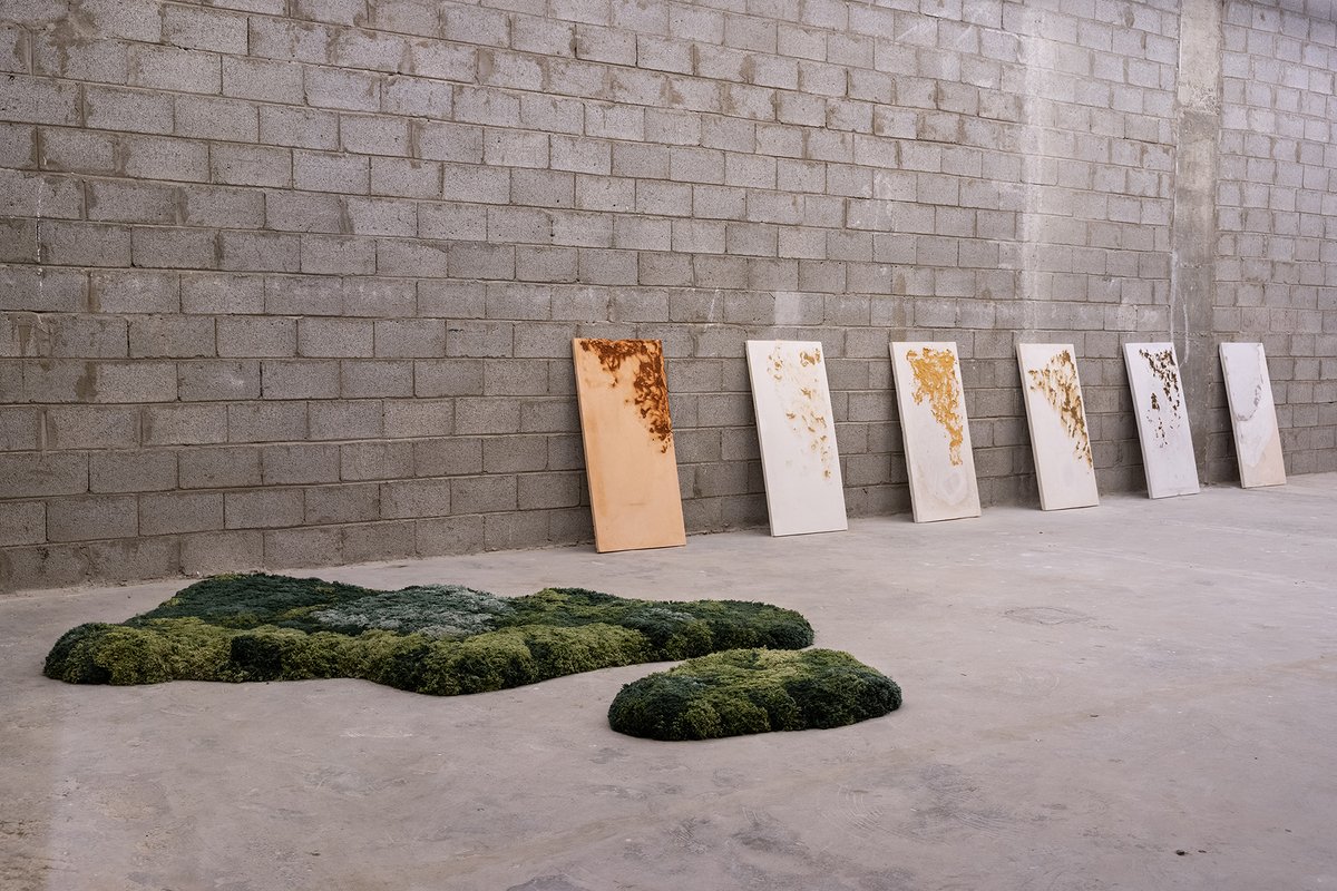 SiggArtFdn's tweet photo. 3/6: 🧱 Bricklab, composed of Abdulrahman and Turki Gazzaz, has shared their work globally, from @maatmuseum, Lisbon, to @AthrArt in Jeddah. Joining them are talented Saudi architects Aseel Alamoudi, Ghaida Gutub, and Zahiyah Alraddadi. #SiggArtFoundation #Bricklab https://t.co/8ACSLyISAD