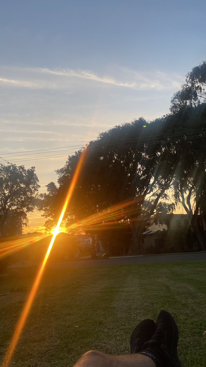 Floreat Pica tweet media