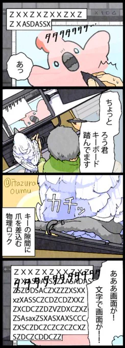 飼い主の作業を妨害するのはコンパニオンバードの使命…?
