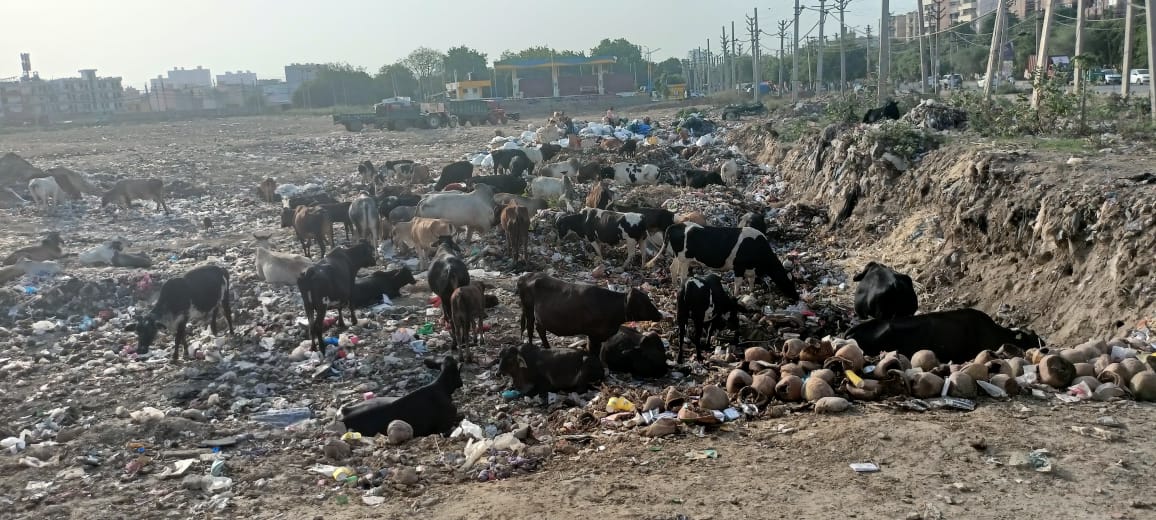 उदयवीर यादव, ( गुरुग्राम) tweet media