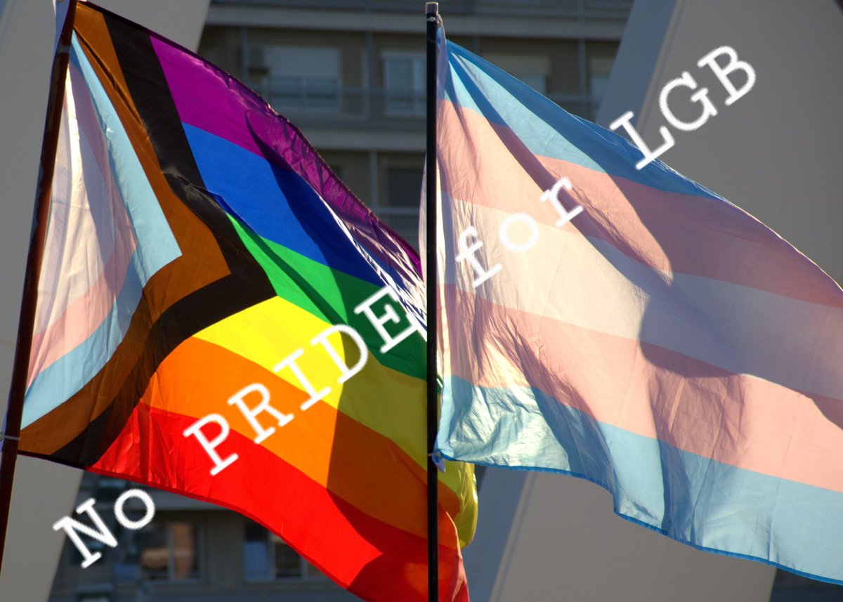 @CarolineLucas @PrideBrighton When will LGB people realise there is no Pride for us being associated with the TQIA+ who hijacked everything we worked for

They took our respect & used it against us

Transing young LGB people is barbaric conversion therapy

Boycott #BrightonPride if you have any pride