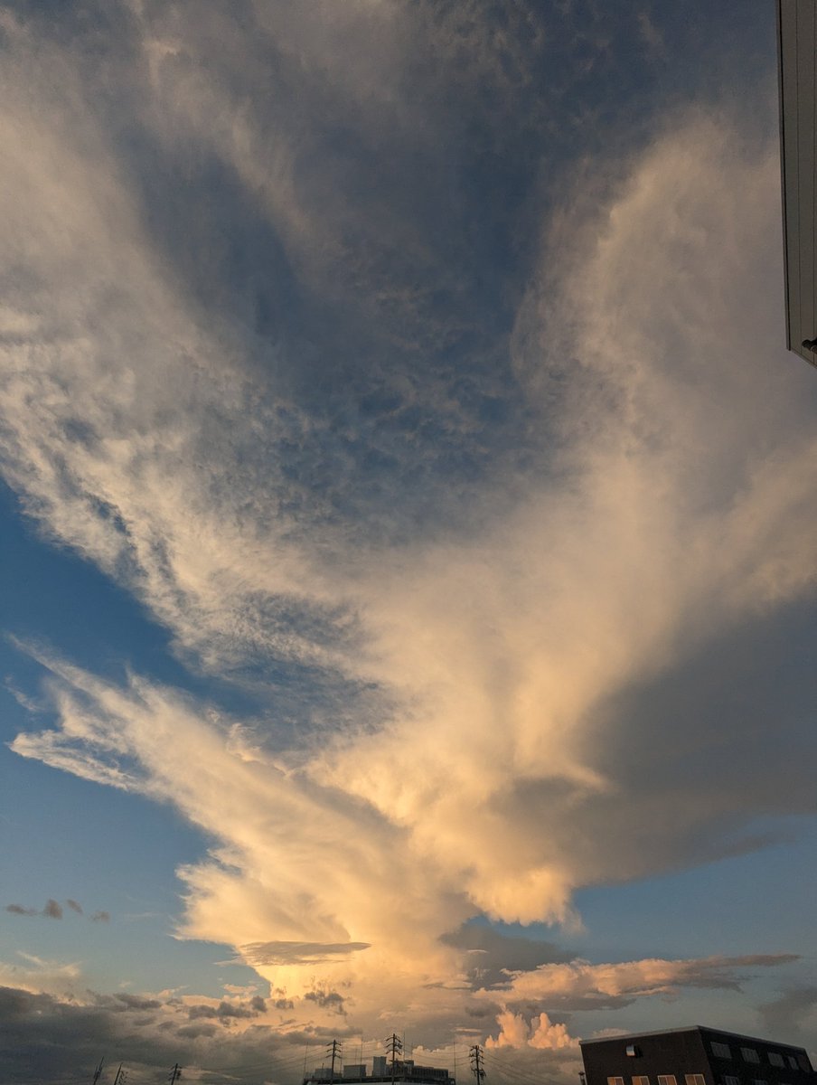 SoraoMiagerebaa's tweet photo. 風にピアスが揺れるょ
舞い上がれ

#イマソラ
#夕暮れ
#雲
#GooglePixelpro https://t.co/RTnk5y82Ew