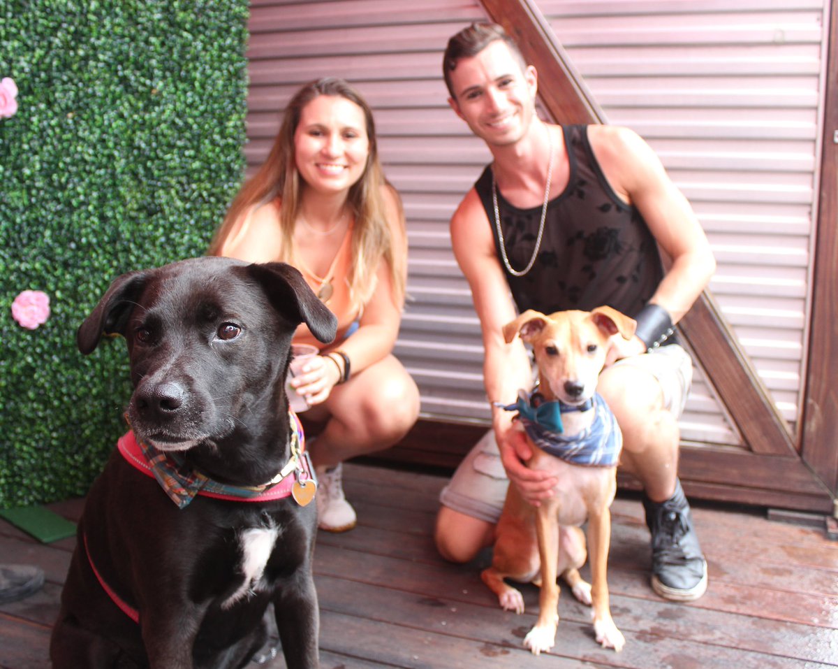 sidetrackbar's tweet photo. TODAY is Dog Day at Sidetrack! Bring the pups to play the first Saturday of every month from 1-5pm. 🌈🐶 Saturday, August 5 https://t.co/W6Atkcqmxg