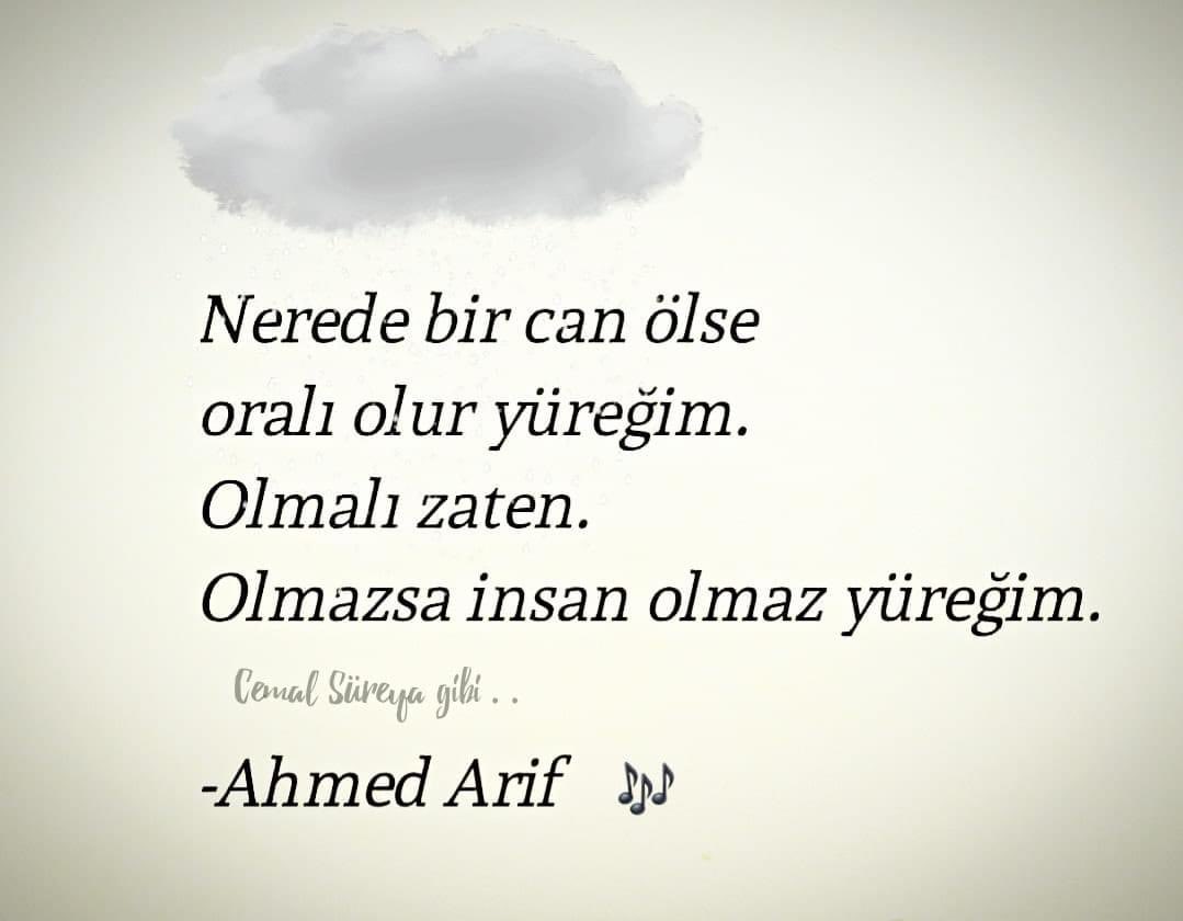 Nerede bir can ölse
Oralı olur yüreğim.

Olmalı zaten.
Olmazsa insan olmaz yüreğim.

TOGG  Alanya  İnna  
Münevver Karabulut