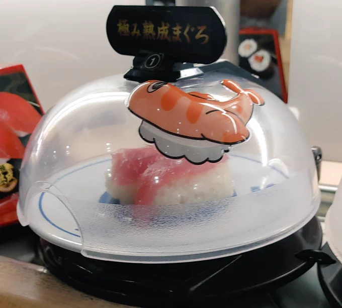 #くら寿司シャリタツ  こうか