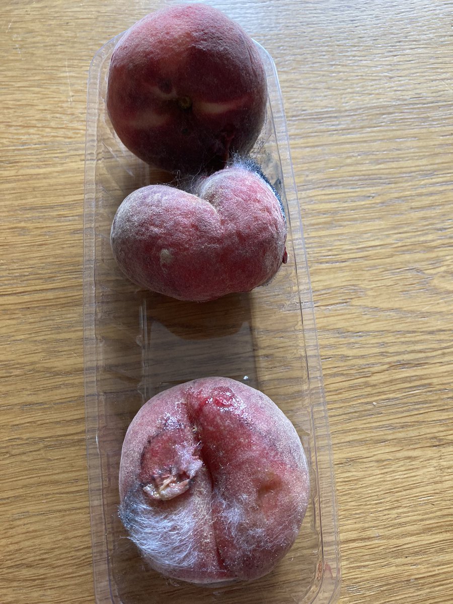 I think <a href="/LidlGB/">@LidlGB</a> should rename their “ripen at home” peaches. More like “rot at home” in two days! Thought I’d risk their fresh produce again.