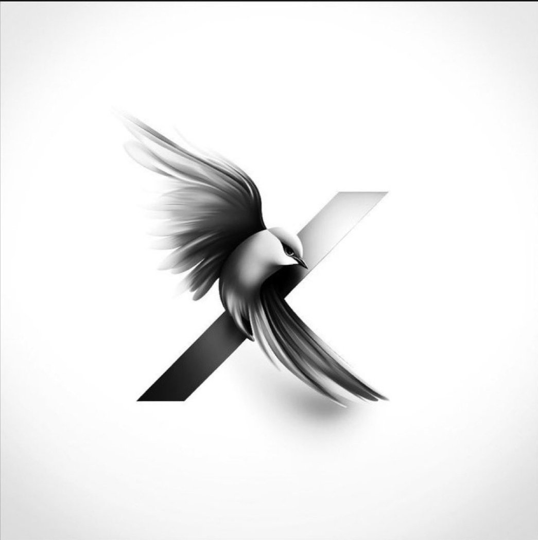 DialaABZ's tweet photo. @ElonMuskAOC This colour fits the rebranding campaign better.. We're already used to it. I love the new logo🖤🩶 https://t.co/5XRY6HiRos