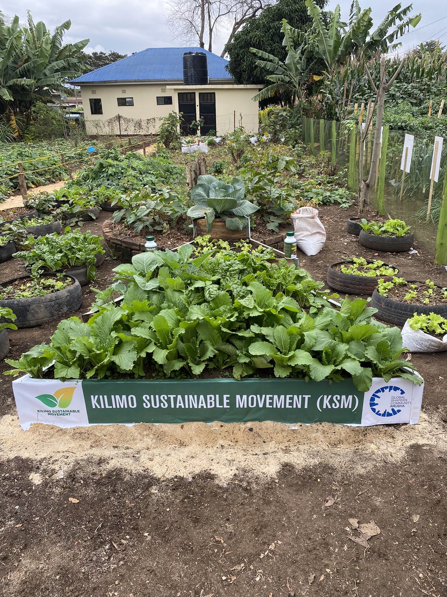 Kilimo Sustainable Movement tweet media