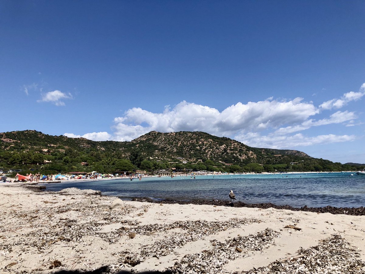 Début d’après-midi sur la Plage de Palombaggia #PortoVecchio #Summer2023 #CorseDuSud #PalombaggiaBeach #Corsica #PortoVecchioTourisme ☀️🏖️