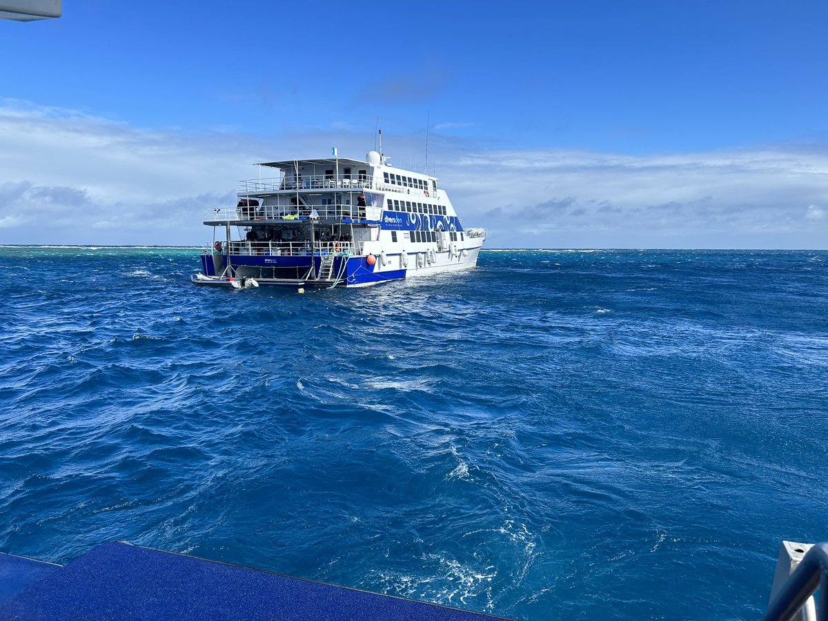 Dr. Lauren Eve Simonitis 🇨🇺🇺🇸 tweet media