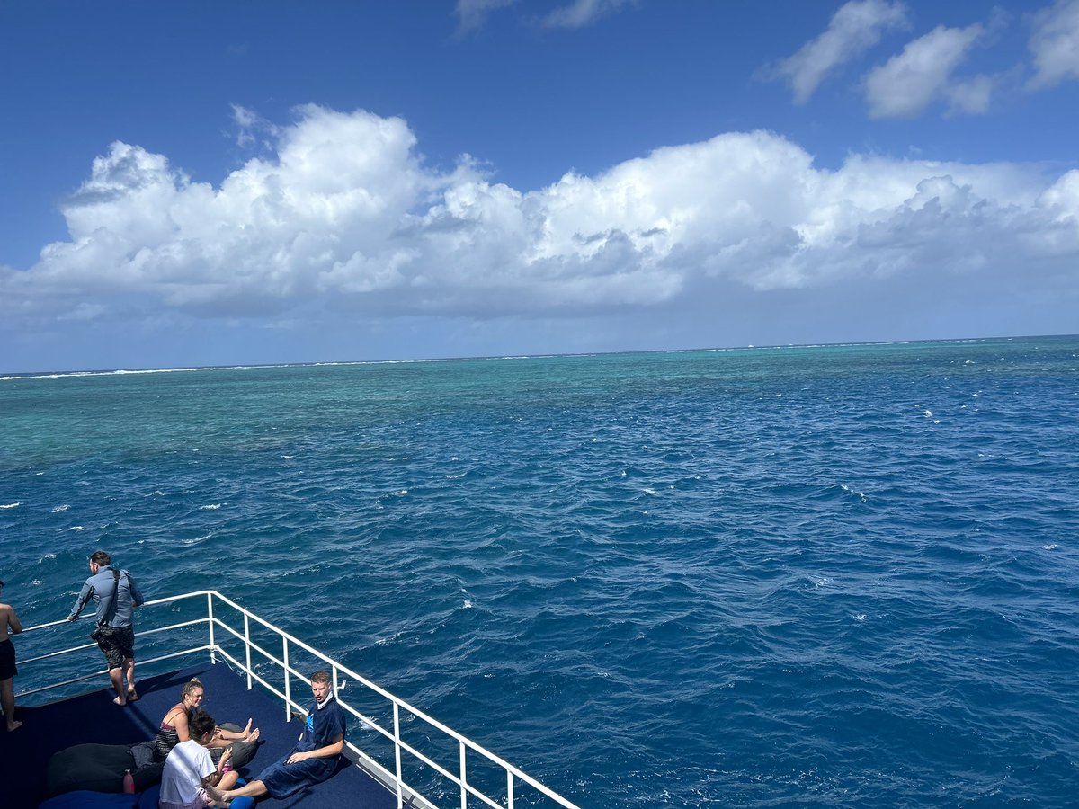 Dr. Lauren Eve Simonitis 🇨🇺🇺🇸 tweet media