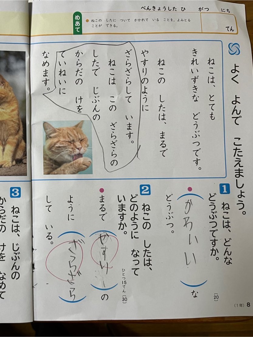 甥3の国語ドリル。100点満点にしたい。妹1に掲載許可はとってます。猫はかわいい(ましろ)