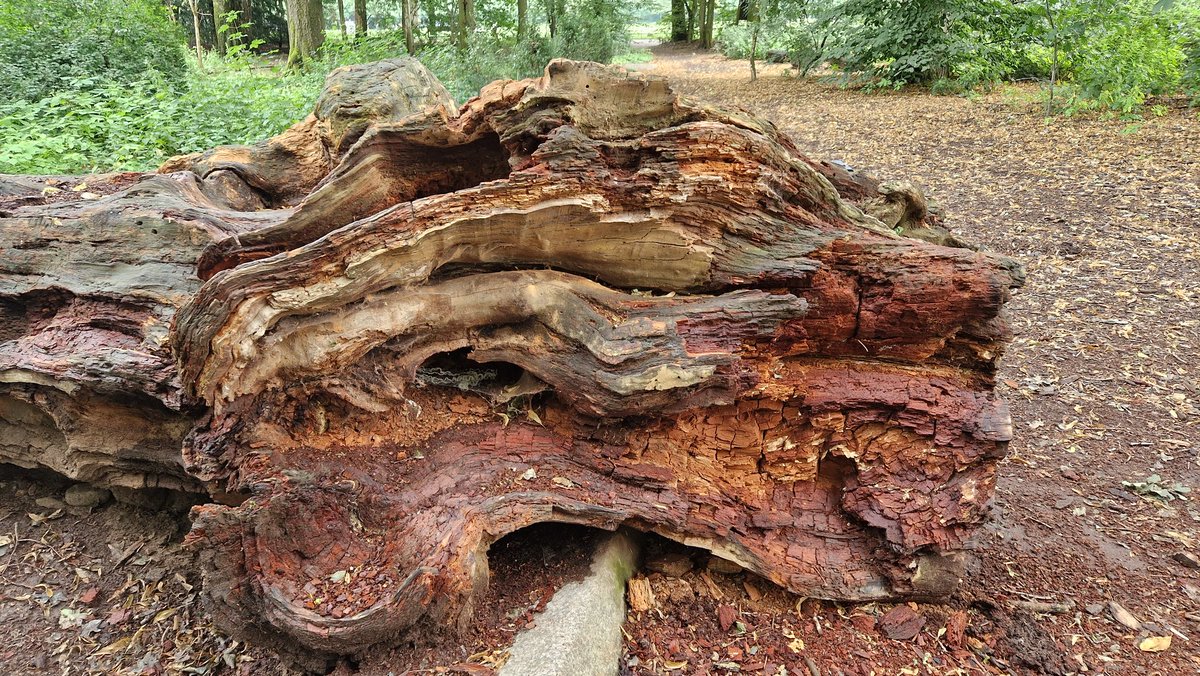 Nature and it's wonders.