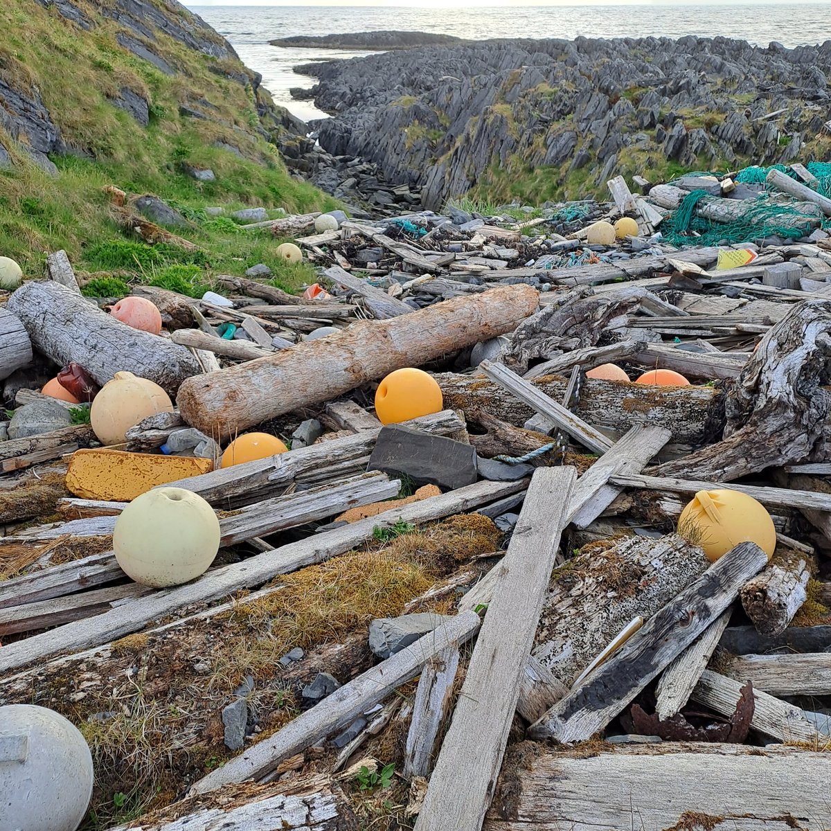 #meriroska kertyy mm. Pohjois-Norjassa pienten lahtien perukoihin. Meri tuonut. Suurinosa troolien osia ja kestopuuta. Kerätyillä troolipalloilla on koristeltu monen kylän aidanseipäät. #kalastusroska #marinelitter