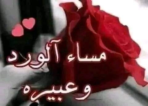 Sindrilla7's tweet photo. @WXVbAKjSanZLwZT https://t.co/hfTZPiqyh9