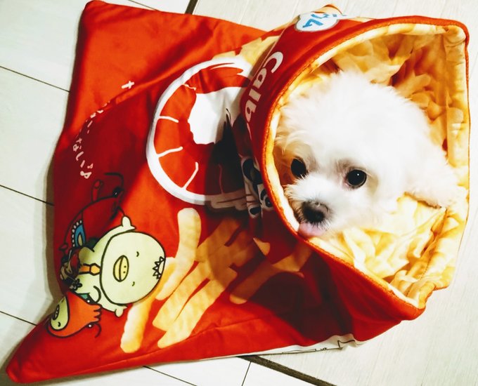 「bag chips (food)」 illustration images(Latest)
