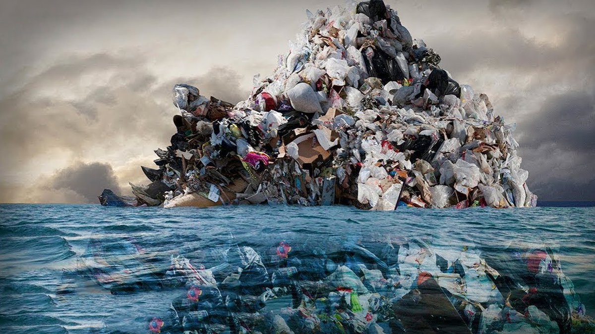 savetotalworld's tweet photo. What would happen if there were no birds? Worldwide, birds eat between 400 and 500 metric tons of bugs. If birds were to disappear, pests would destroy crops around the world, causing a shortage of some food sources. Also, more than 900 species of birds help pollinate plants #STW https://t.co/kmRk8WN9MG