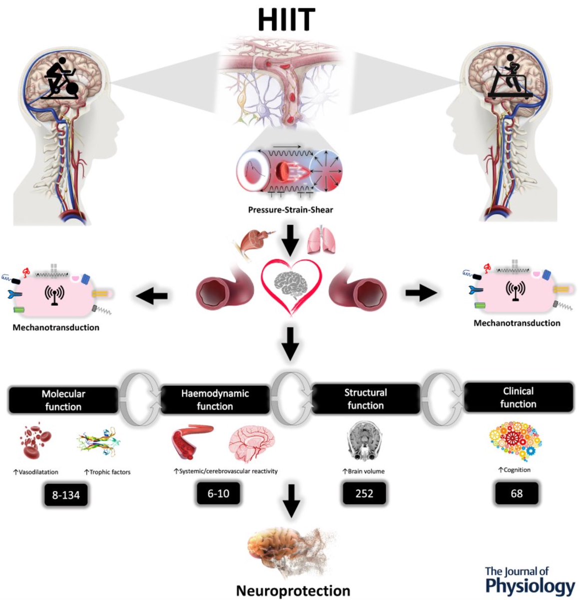 Christoph Burch tweet media