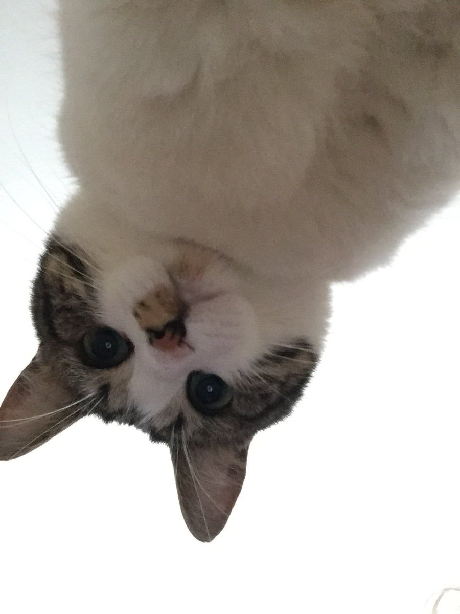 şule (@suxedemir) on Twitter photo 