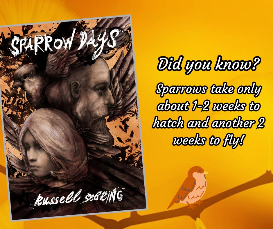 Puberty isn't so bad when you are a sparrow!

Learn more about Russell Sebring's SPARROW DAYS: curiouscurlspublishing.com/read/sparrow-d…

#sparrowdays #russellsebring #firsttimeauthor #wholesomebook #ptsdbooks #cutegirlbooks #literatureandart #classroombooks #middleschoolbooks #highschoolbooks