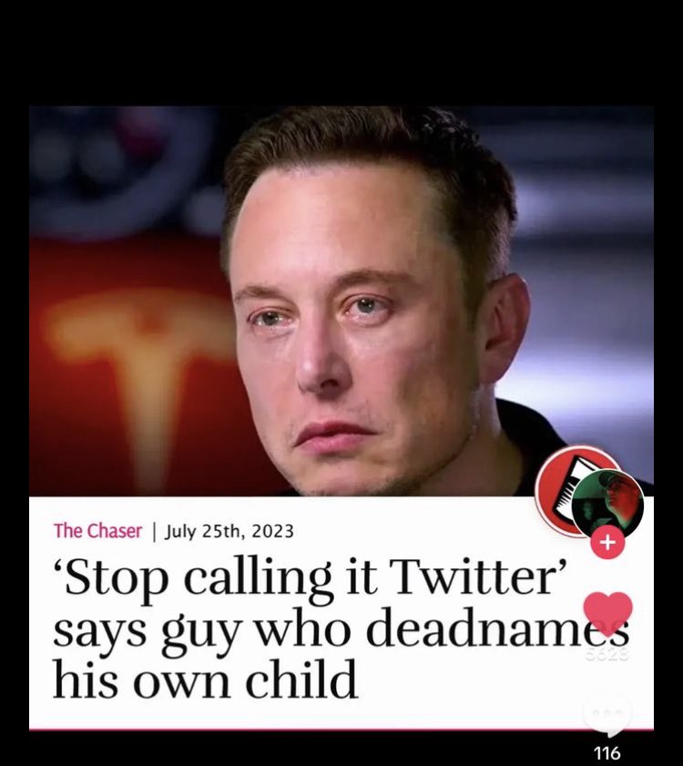 Lauren McKenzie tweet media