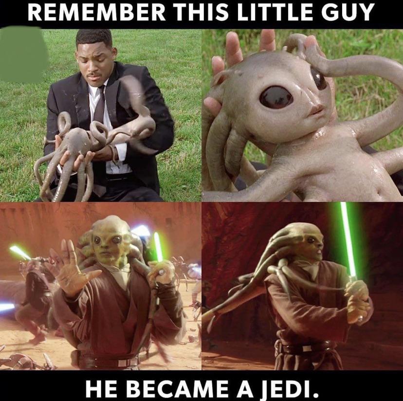rPrequelMemes's tweet photo. Sniff* they grow up so fast https://t.co/ckUoe2iFHO https://t.co/4LfY6dTQXe