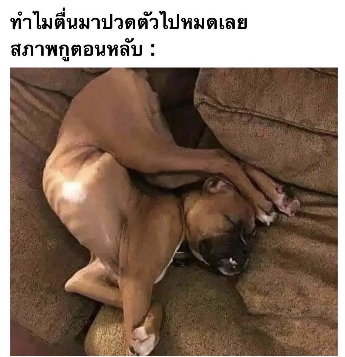 psmark1821's tweet photo. โคตรจริง5555555555555555555 https://t.co/hDyBBf5yx9