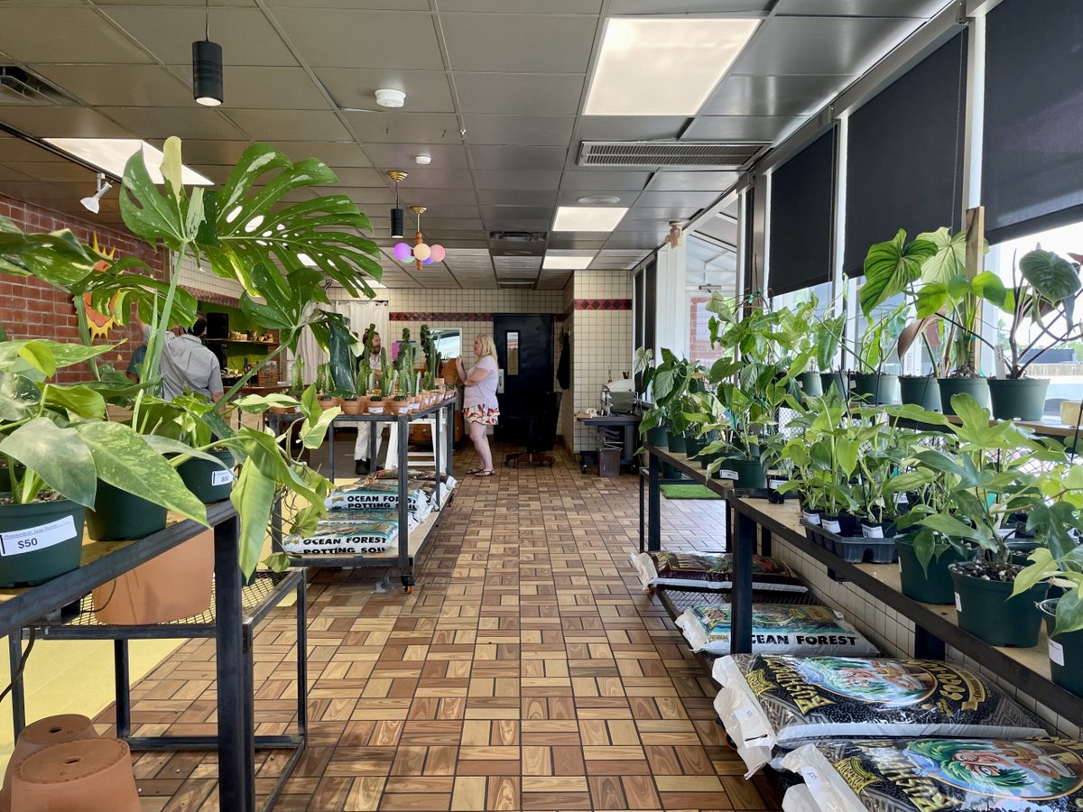 GAFollowers's tweet photo. A closed-down Waffle House in New Orleans has been converted to a plant shop, it's called The Green House. https://t.co/W5qGVNDggZ