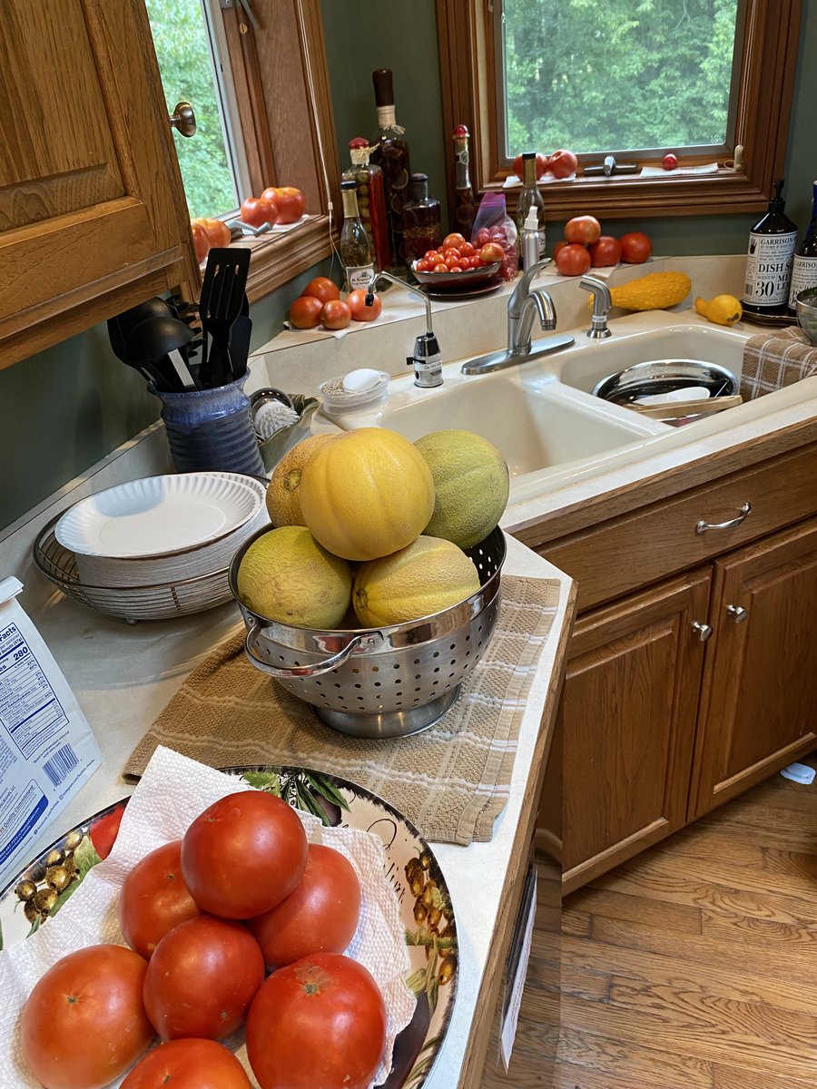 ErnieAgee's tweet photo. Can hardly move thru the fresh garden veggies in the kitchen. Fresh corn boiling on the stove and delicious marinated cukes in fridge https://t.co/lpX6zDx59i