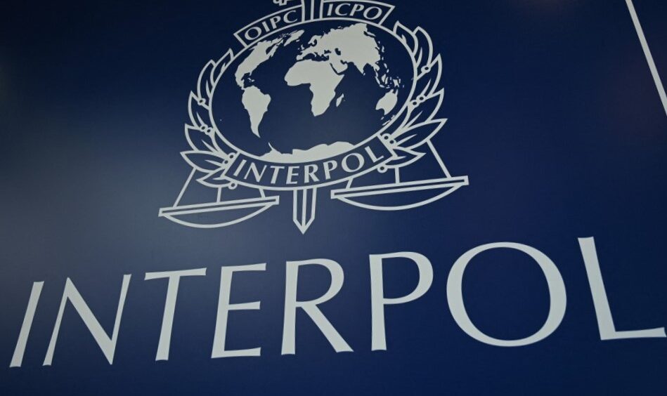 CabildeoDigital's tweet photo. #CabildeoDigital #Loúltimo #Loimportante
AHORA INTERPOL CONTRADICE AL GOBIERNO SOBRE MARSET
“En caso de Marset, se dio información a fin de corroborar in situ. Se ha dado el informe correspondiente, se ha compartido al Comando”.
https://t.co/lrBqEYxp7n https://t.co/5Xs4WjJKXG
