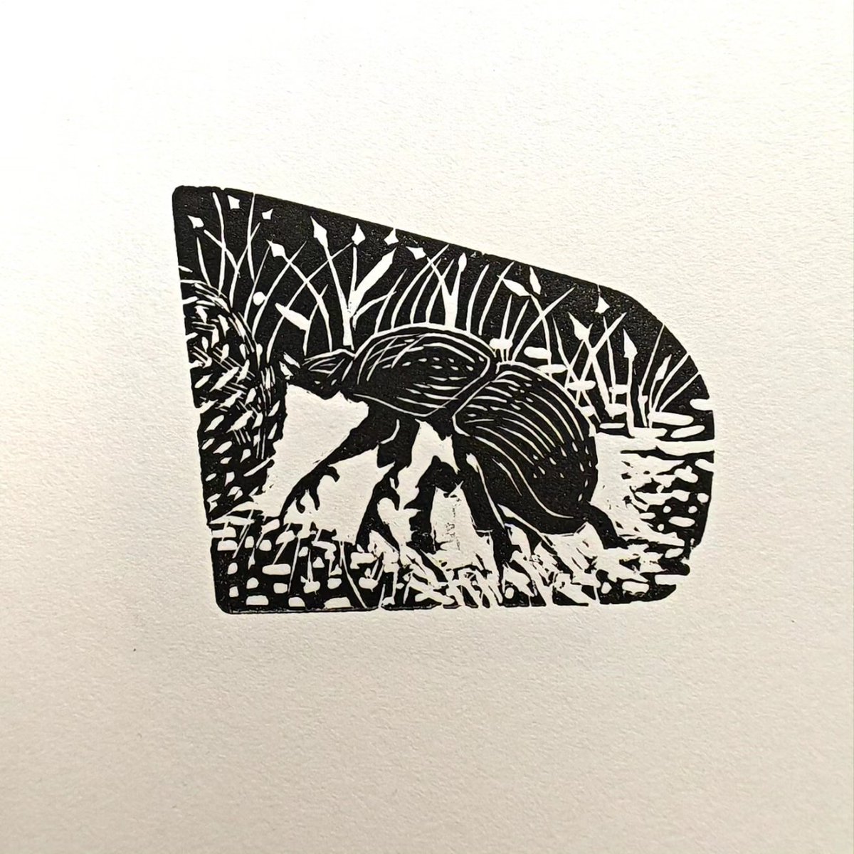 LynnBaileyPrint's tweet photo. Glad I found my lost wood engraving block of a little Dungbeetle. I deal for a contribution to the 2023 20:20 print exchange run by Red Hot Press
Signing off the edition now.
#printmaking #woodengraving #editioning #printexchange @2020printexcha1 #dungbeetle https://t.co/bLgcxcIaHK