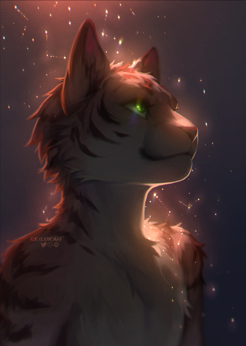 Reilukah @ bluesky ~ 🥔 tweet media