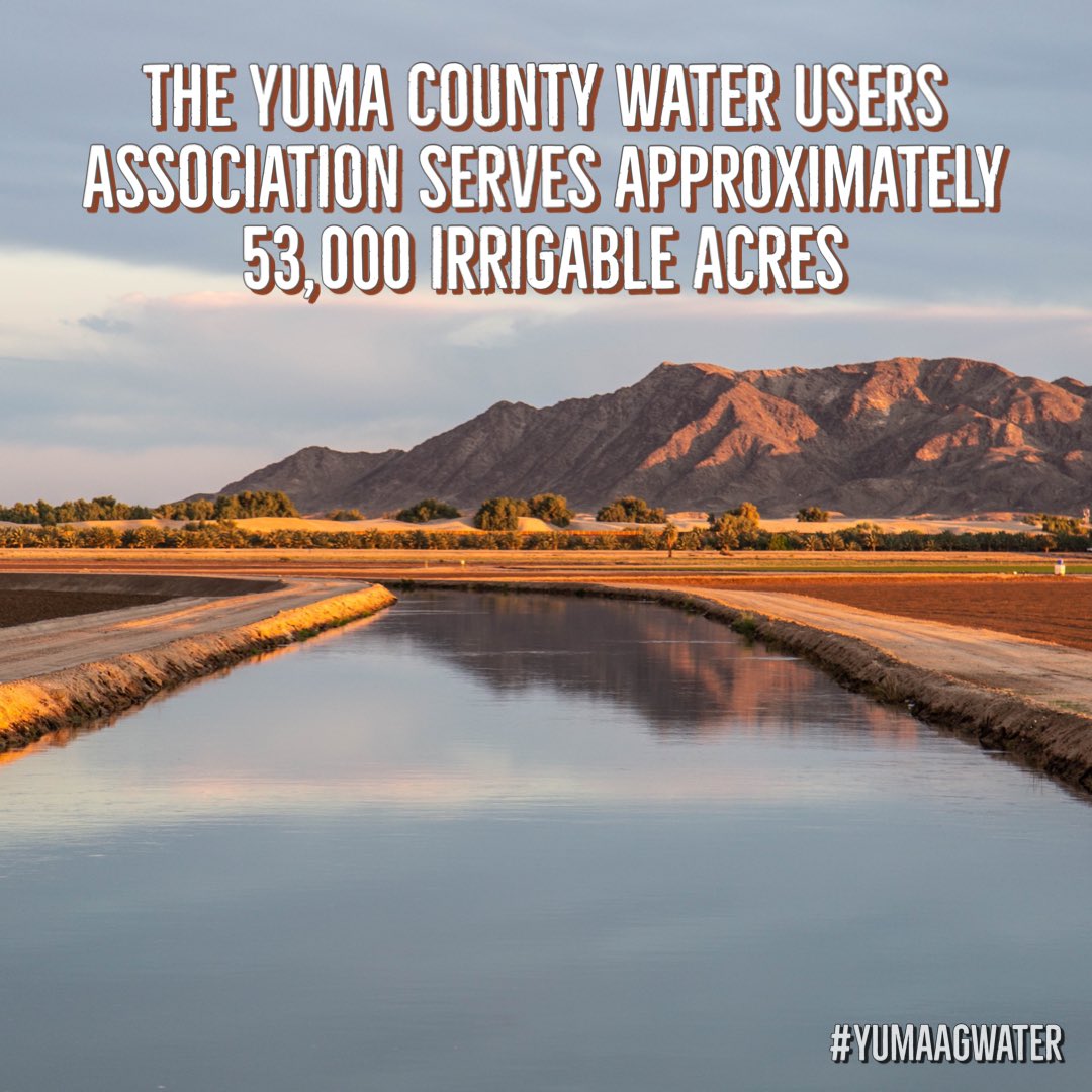 YumaAgWater's tweet photo. The Yuma County Water Users Association provides irrigation water to Yuma Valley farmers. #yumaagwater 💧 https://t.co/k07J0BXezg