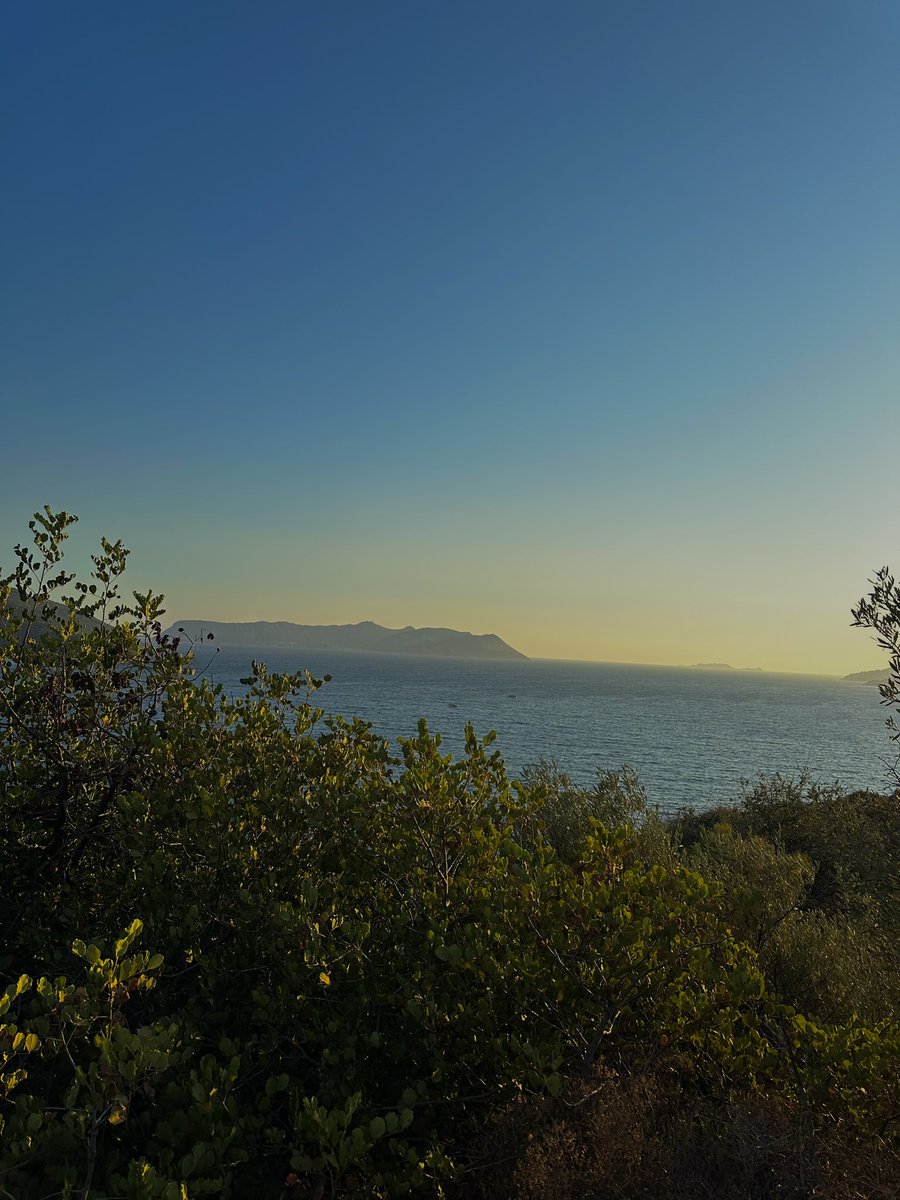 what a day to be alive ☀️