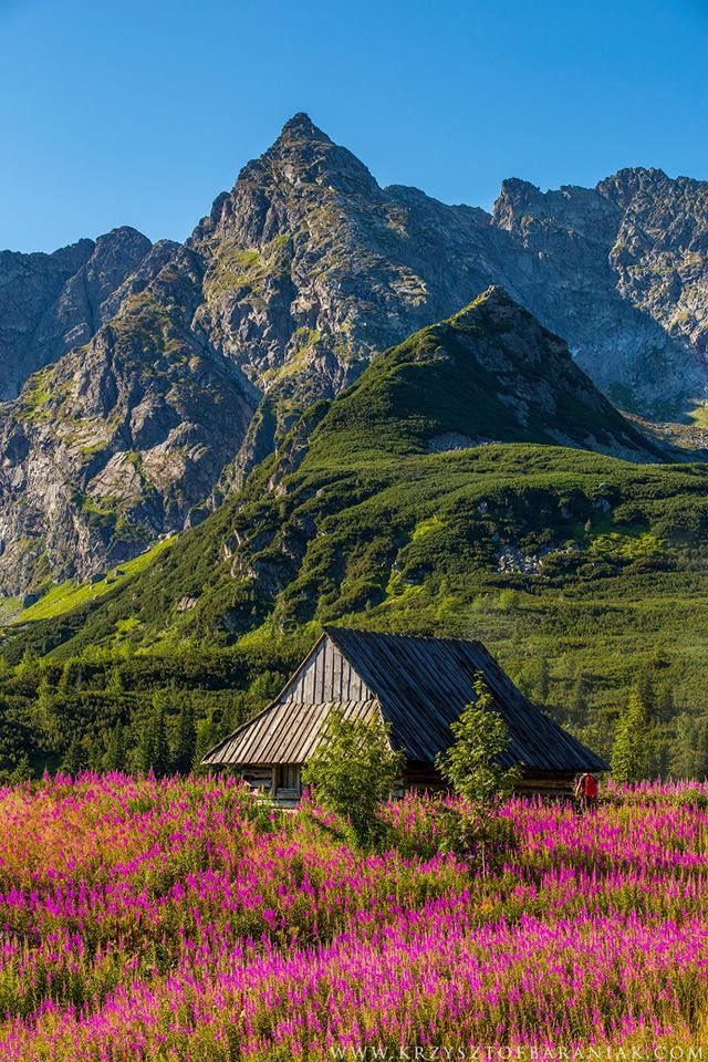 Tatra Mountain,Giewont,Poland