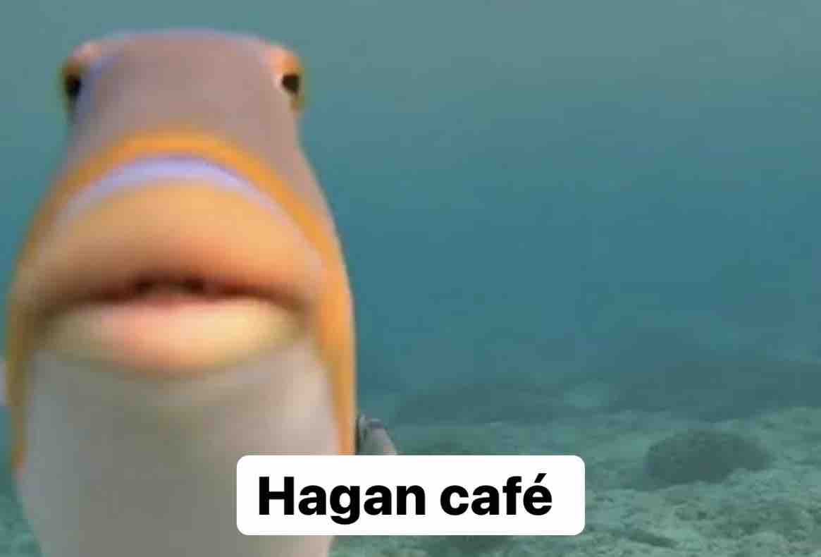Guarromantico_'s tweet photo. Nadie:

Yo en casa ajena: https://t.co/P1XV9DHyYr
