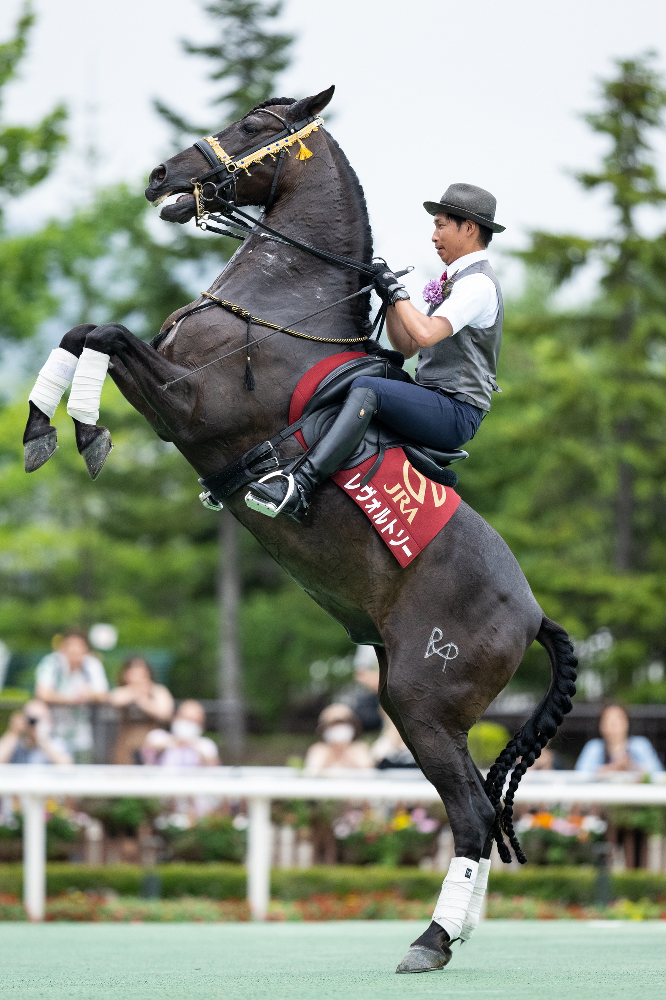 競馬ファン必見！超絶激レア！！中山馬主協会シリコンクロック掛け時計！！鬼レア！！ 競馬ファン必見！超絶激レア！！中山馬主協会シリコンクロック掛け時計