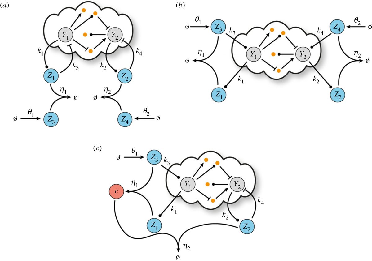 RSocPublishing's tweet photo. New #JRSocInterface study investigates control schemes for biomolecular processes with two outputs of interest: https://t.co/Ql2WADI9MG @oxengsci @CompSciOxford https://t.co/OgiAb00uRN
